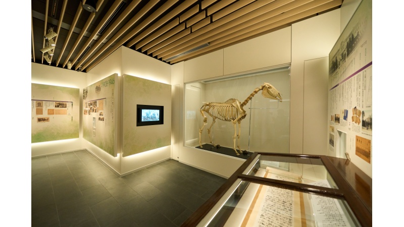 学習院大のミュージアムがリニューアルオープン 皇族ゆかりの品など