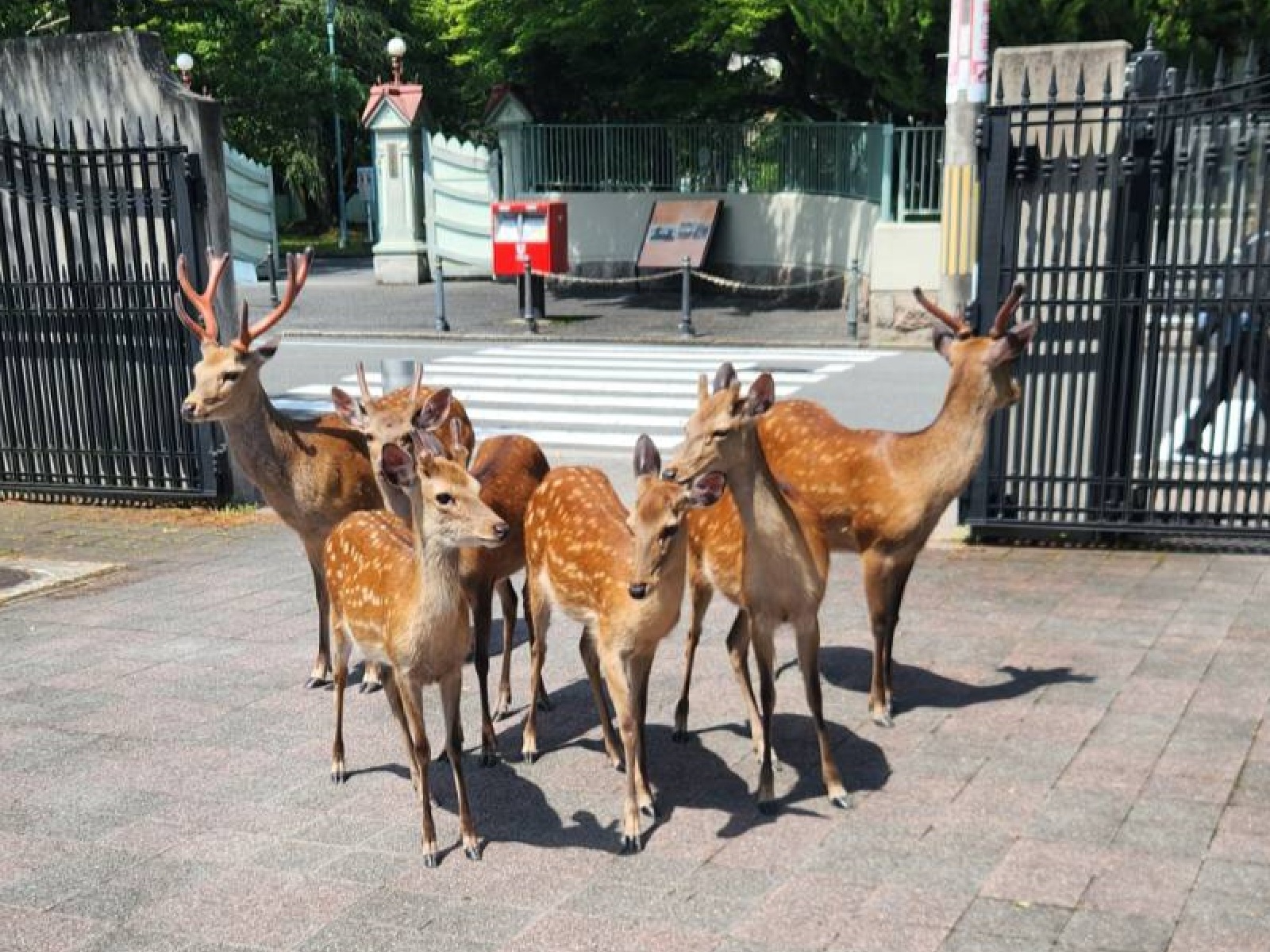 大学生活とお金】「共学じゃなくてよかった」 寮費4700円の気楽な